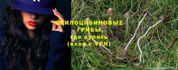 прущая мука Касимов