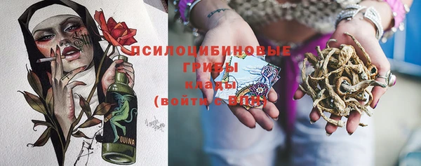 винт Кинешма