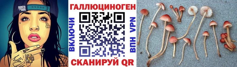 Галлюциногенные грибы Cubensis  продажа наркотиков  Себеж 